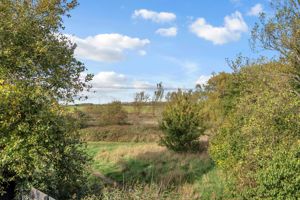 Photo 19- click for photo gallery